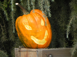 Pixie, Nipomo Pumpkin Patch best carving idea